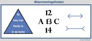 Waarnemingsfouten