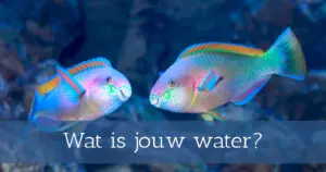Wat is jouw water